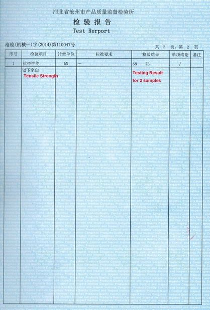中国 Cangzhou Weisitai Scaffolding Co., Ltd. 認証